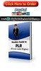 Thumbnail Newbies Guide to PLR