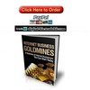 Thumbnail Internet Business Goldmines