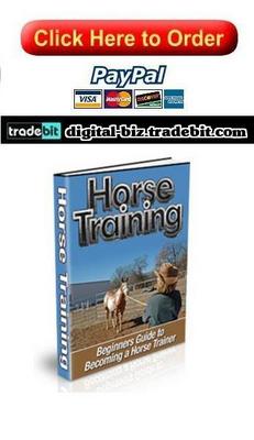 Product picture Horse Training