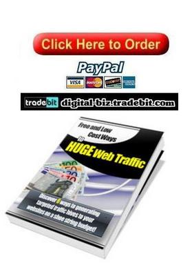 Product picture Free and Low Cost Ways to Huge Web Traffic