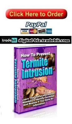Product picture How To Prevent Termite Intrusion