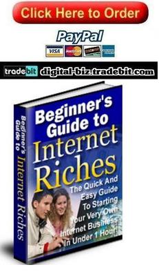 Product picture Beginners Guide To Internet Riches