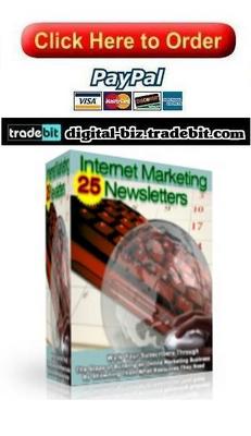 Product picture Internet Marketing 25 Newsletter