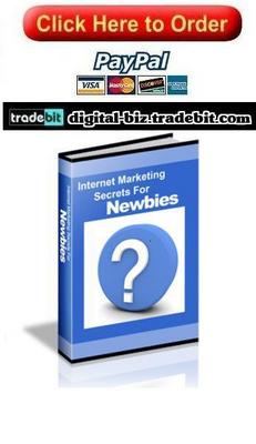 Product picture Internet Marketing Secrets For Newbies