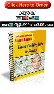 Product picture Internet Marketing Basics for Newbies