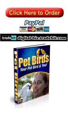 Product picture Your Pet Bird & You!