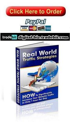 Product picture Real World Traffic Strategies
