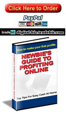 Product picture Newbies Guide To Profiting Online