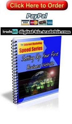 Product picture Setting Up Your First Business Website