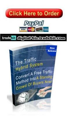 Product picture The Traffic Hybrid System