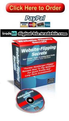 Product picture Website Flipping Secrets