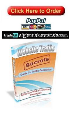 Product picture Website Traffic Secrets