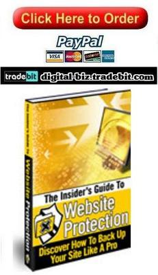 Product picture The Insiders Guide To Website Protection
