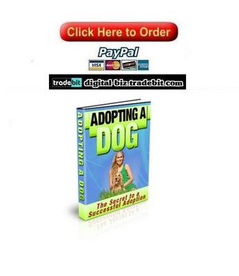Product picture Adopting A Dog