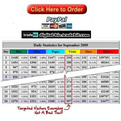 Product picture 5 Minute Article Traffic Plan