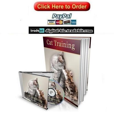 Product picture Cat Training
