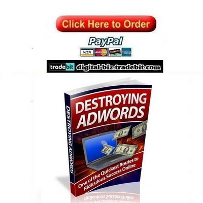 Product picture Destroying Adwords