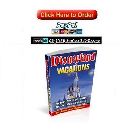 Product picture Disneyland Vacations