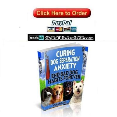 Product picture Curing Dog Separation Anxiety