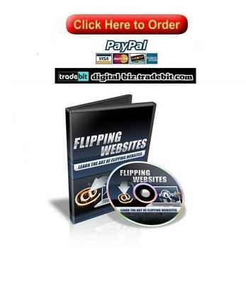 Product picture Flipping Websites