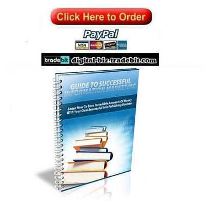 Product picture Guide To Successful Information Technology