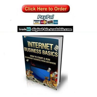Product picture Internet Business Basics