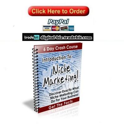 Product picture Introduction To Niche Marketing