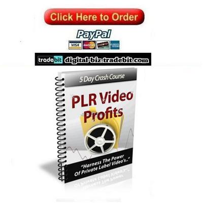 Product picture PLR Video Profits Crash Course