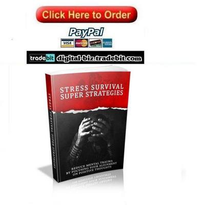 Product picture Stress Survival Super Strategies