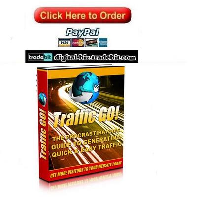 Product picture Traffic Go