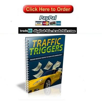 Product picture Traffic Triggers