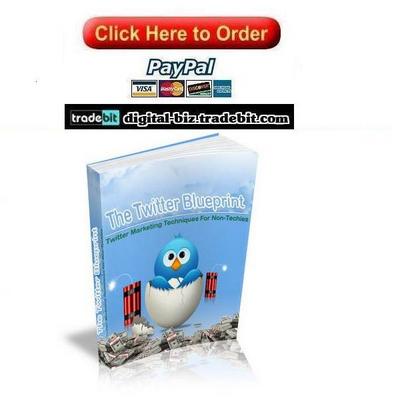 Product picture The Twitter Blueprint