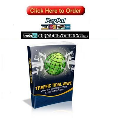 Product picture Traffic Tidal Wave