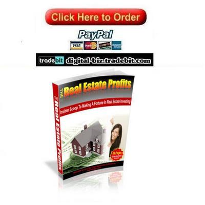 Product picture The Real Estate Profits