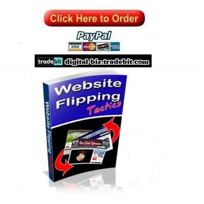 Product picture Website Flipping Tactics